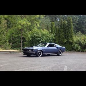 Meet your Posher, Shane